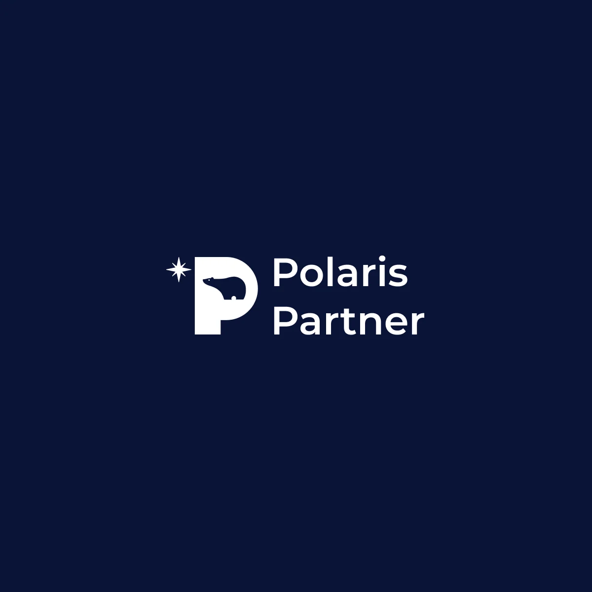 Anteprima del Polaris Partner