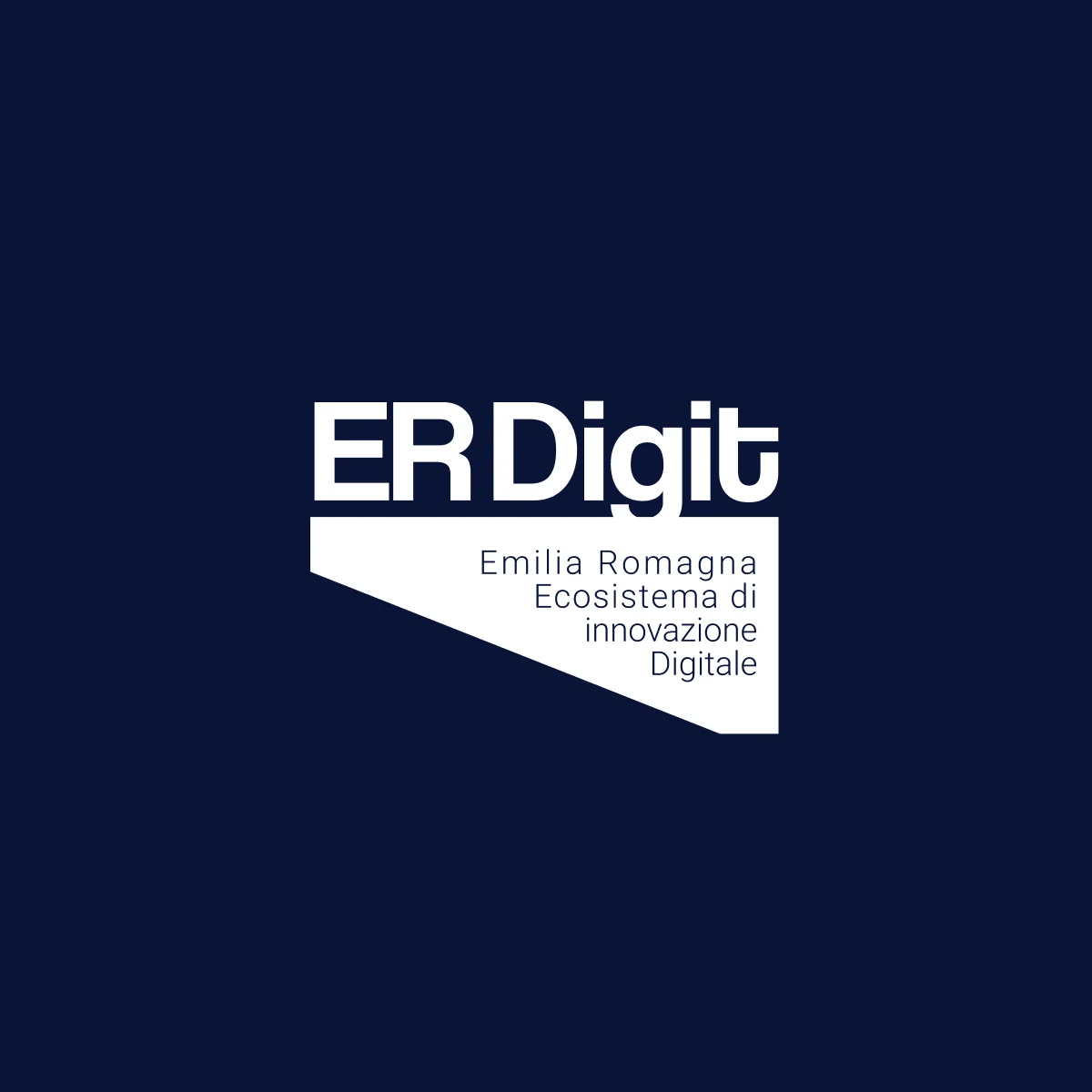 Anteprima del ERDigit