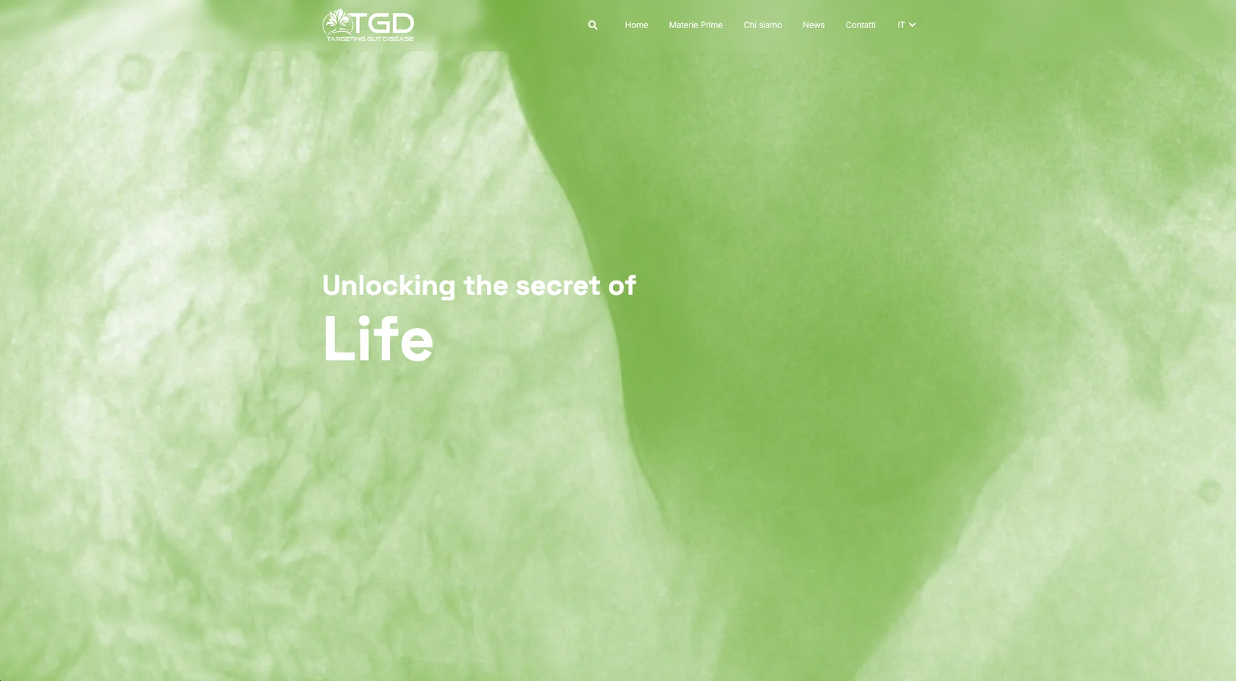 Anteprima del TGD