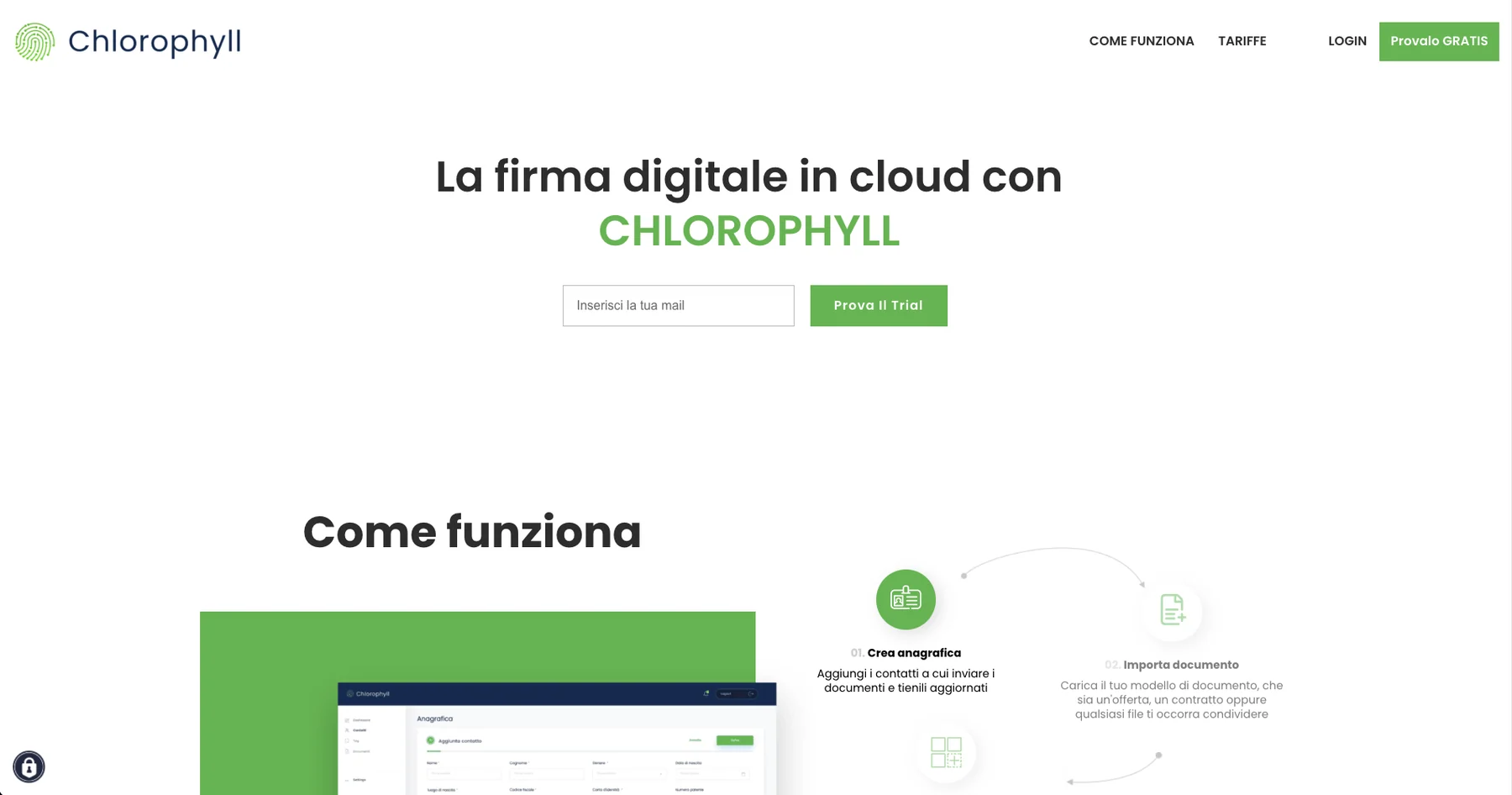 Anteprima del Chlorophyll