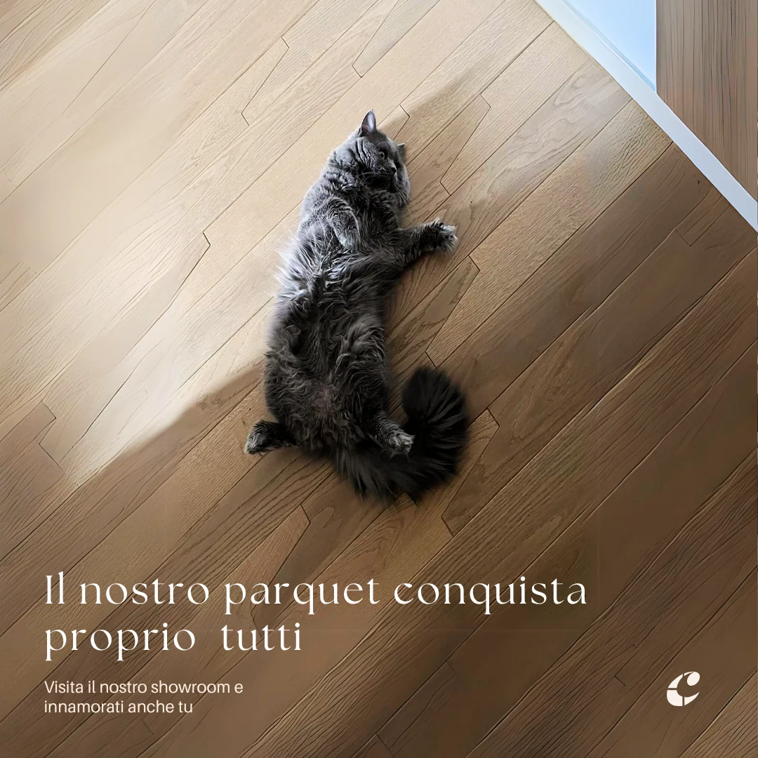 Materia, luce, spazio — materiale 13